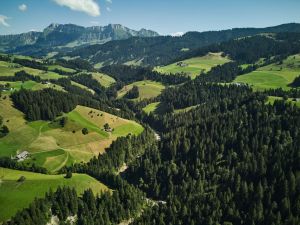 Die wunderscjäne Landschaft der Emme: In der Laichzeit ist diese hervorragend für Fische ausgelegt.