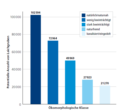 Blick auf einen kleinen Fluss mit Kiesbank, wo Menschen spielen und entspannen, der Fluss ist von Bäumen umgeben.