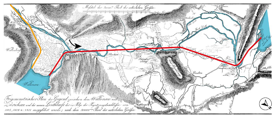 Ein Bach schlängelt sich durch einen Auwald.