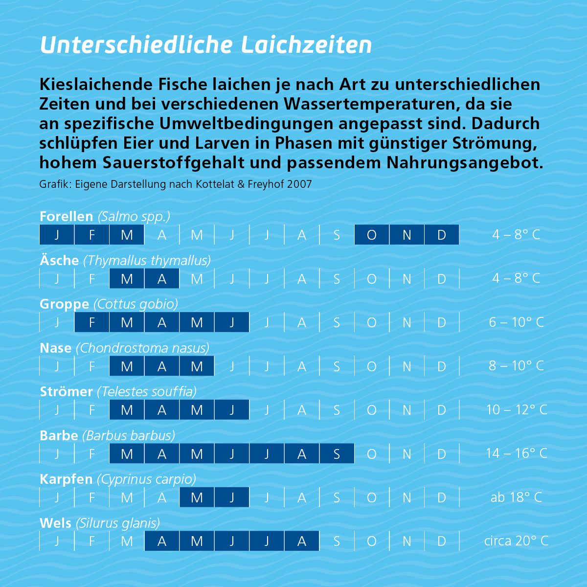 Graphik Pflanzliche Vielfalt von Gletschervorfeldern mit verschiedenen Pflanzengesellschaften