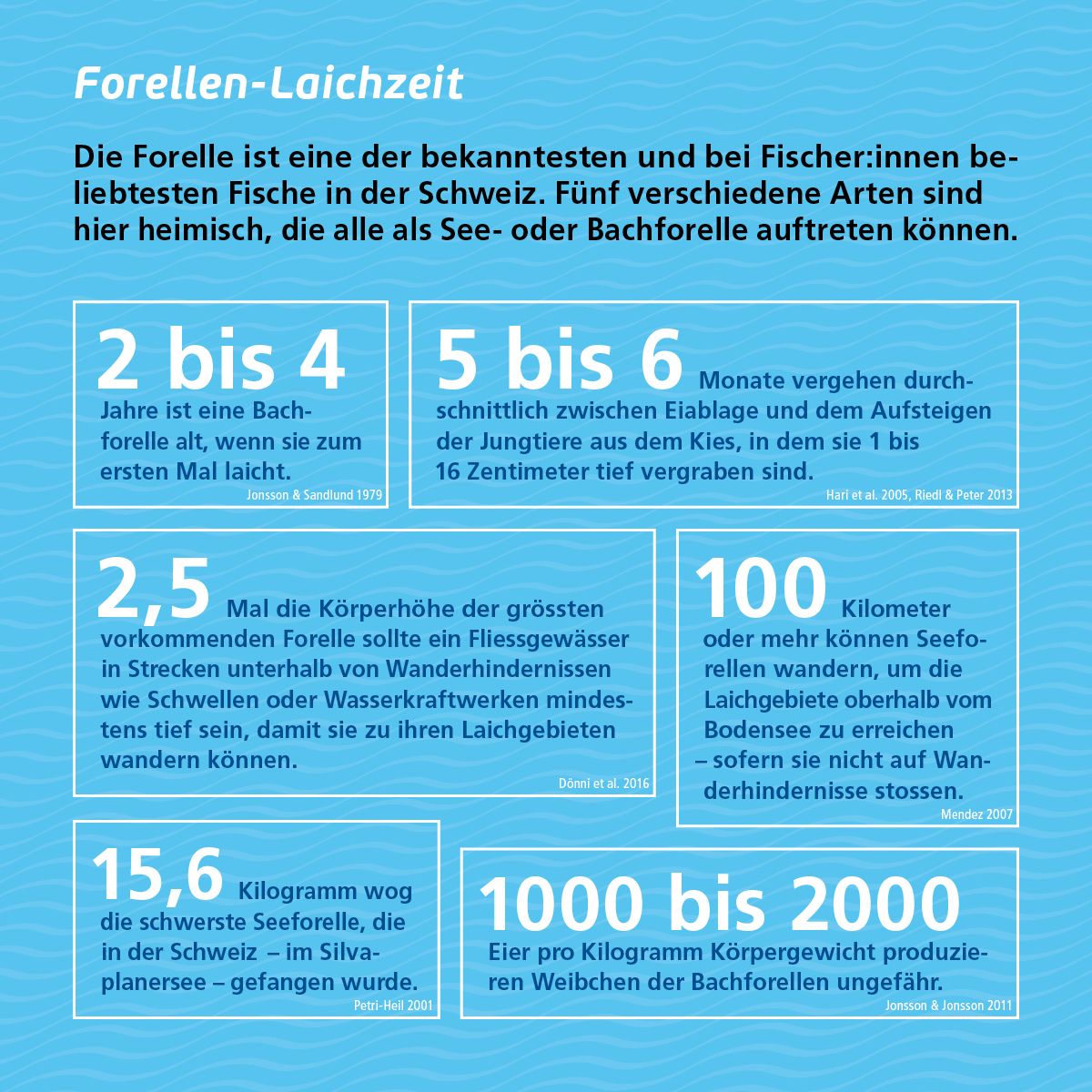 Graphik Dynamische Gletschervorfeler, Artenzahl in Abhängigkeit von Jahre Eisfreiheit