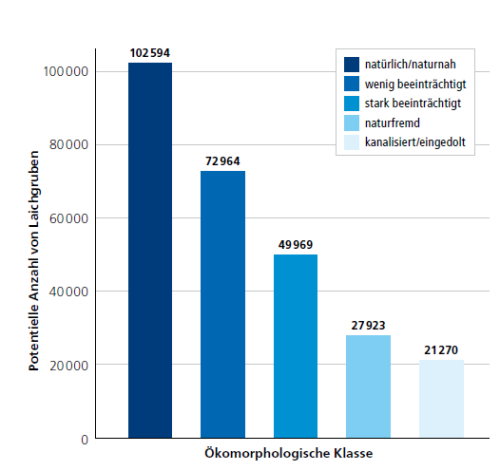 Blick auf einen kleinen Fluss mit Kiesbank, wo Menschen spielen und entspannen, der Fluss ist von Bäumen umgeben.